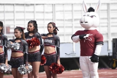 pumas-cu-burros-blancos-onefa-2024-4