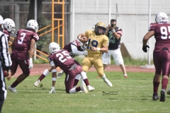pumas-cu-burros-blancos-onefa-2024-40