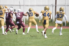 pumas-cu-burros-blancos-onefa-2024-41