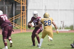 pumas-cu-burros-blancos-onefa-2024-45