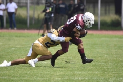 pumas-cu-burros-blancos-onefa-2024-46