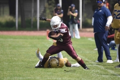 pumas-cu-burros-blancos-onefa-2024-48