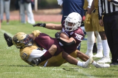 pumas-cu-burros-blancos-onefa-2024-49