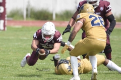 pumas-cu-burros-blancos-onefa-2024-52