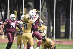 pumas-cu-burros-blancos-onefa-2024-53