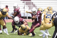 pumas-cu-burros-blancos-onefa-2024-55