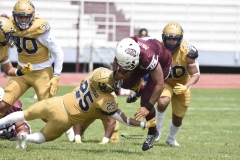 pumas-cu-burros-blancos-onefa-2024-56