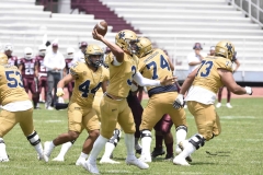 pumas-cu-burros-blancos-onefa-2024-66