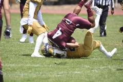 pumas-cu-burros-blancos-onefa-2024-68