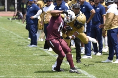 pumas-cu-burros-blancos-onefa-2024-70