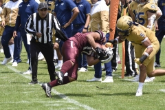 pumas-cu-burros-blancos-onefa-2024-71