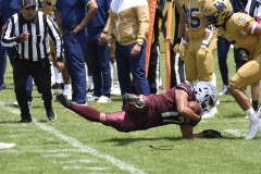 pumas-cu-burros-blancos-onefa-2024-72