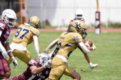 pumas-cu-burros-blancos-onefa-2024-74