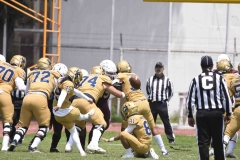 pumas-cu-burros-blancos-onefa-2024-76