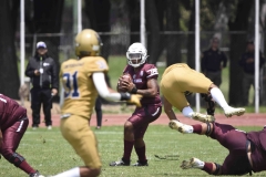 pumas-cu-burros-blancos-onefa-2024-78