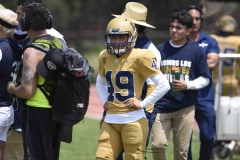 pumas-cu-burros-blancos-onefa-2024-80