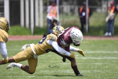 pumas-cu-burros-blancos-onefa-2024-81