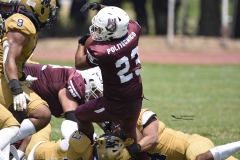 pumas-cu-burros-blancos-onefa-2024-87