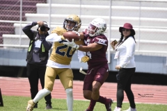 pumas-cu-burros-blancos-onefa-2024-88