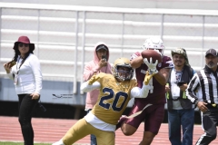 pumas-cu-burros-blancos-onefa-2024-89