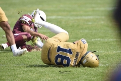 pumas-cu-burros-blancos-onefa-2024-9