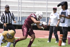 pumas-cu-burros-blancos-onefa-2024-90