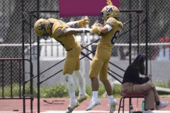 pumas-cu-burros-blancos-onefa-2024-94