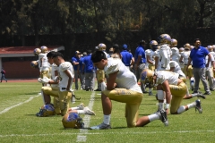 pumas-cu-campeon-intermedia-2022-onefa-7