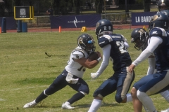 pumas-cu-pumas-acatlan-intermedia-2022-17