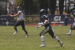 pumas-cu-pumas-acatlan-intermedia-2022-28