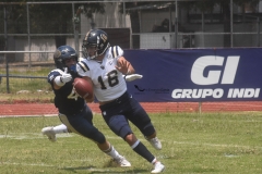 pumas-cu-pumas-acatlan-intermedia-2022-37