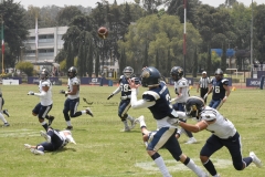 pumas-cu-pumas-acatlan-intermedia-2022-46