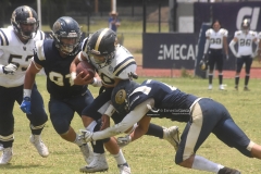 pumas-cu-pumas-acatlan-intermedia-2022-77