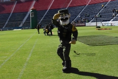 pumas-cu-aguiluchos-hcm-2021-13