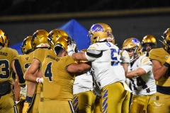 autenticos-tigres-uanl-pumas-cu-2025-onefa-113