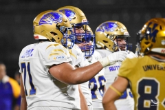 autenticos-tigres-uanl-pumas-cu-2025-onefa-143