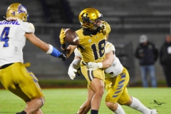 autenticos-tigres-uanl-pumas-cu-2025-onefa-154
