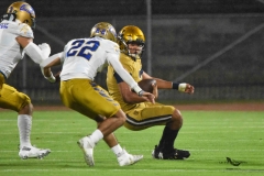 autenticos-tigres-uanl-pumas-cu-2025-onefa-20