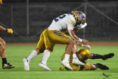 autenticos-tigres-uanl-pumas-cu-2025-onefa-21