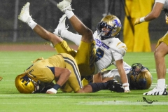 autenticos-tigres-uanl-pumas-cu-2025-onefa-22