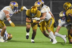 autenticos-tigres-uanl-pumas-cu-2025-onefa-29
