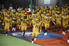 autenticos-tigres-uanl-pumas-cu-2025-onefa-4
