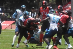 rojos-cdmx-marlins-cabos-fam-yox-2022-10