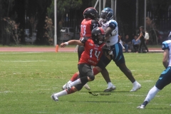 rojos-cdmx-marlins-cabos-fam-yox-2022-101