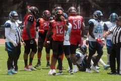 rojos-cdmx-marlins-cabos-fam-yox-2022-11