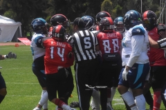 rojos-cdmx-marlins-cabos-fam-yox-2022-112