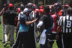 rojos-cdmx-marlins-cabos-fam-yox-2022-117