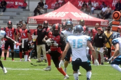 rojos-cdmx-marlins-cabos-fam-yox-2022-12