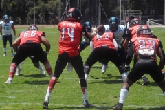 rojos-cdmx-marlins-cabos-fam-yox-2022-123