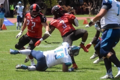 rojos-cdmx-marlins-cabos-fam-yox-2022-124